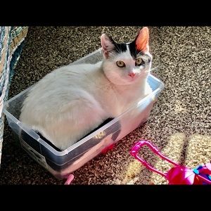 Meet your Posher, Vivian